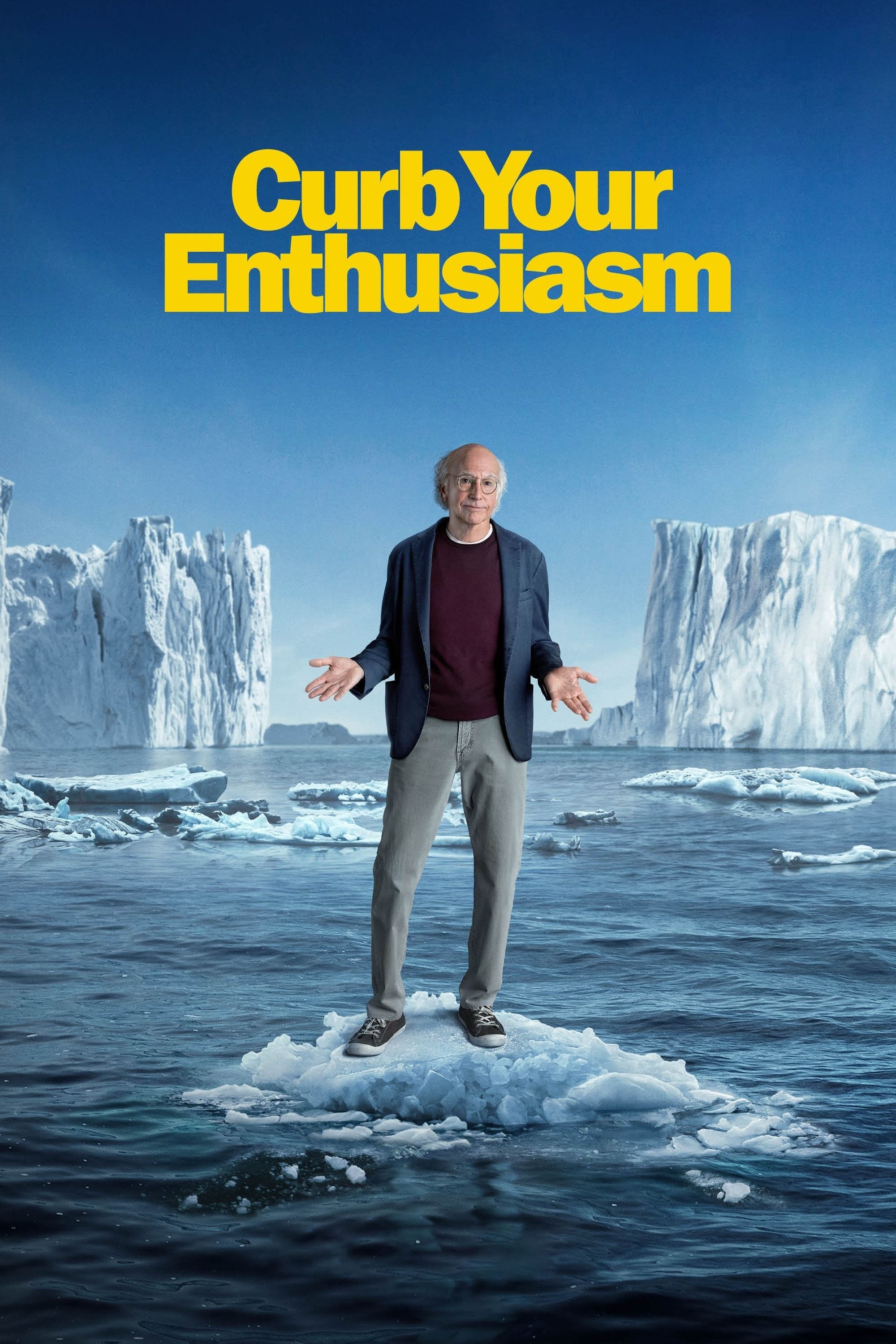 Đừng Quá Nhiệt Tình (Phần 6) - Curb Your Enthusiasm (Season 6) (2007)